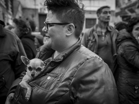 Il cane, l'amico a quattro zampe