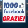 Abbiamo raggiunto e superato i nostri primi 1000 Mi Piace della nostra pagina Facebook.