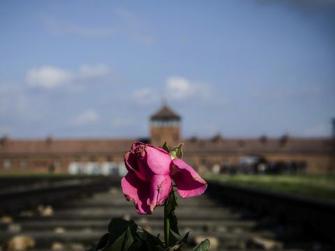 Giornata della Shoah e dell'Olocausto, per non dimenticare e combattere l'antisemitismo