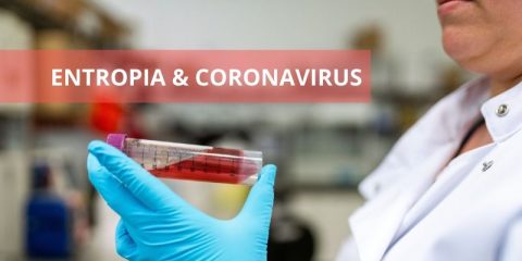 L’entropia ai tempi del Coronavirus