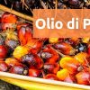 ⁣⁣⁣PERCHÉ L’OLIO DI PALMA PIACE ALL’INDUSTRIA?