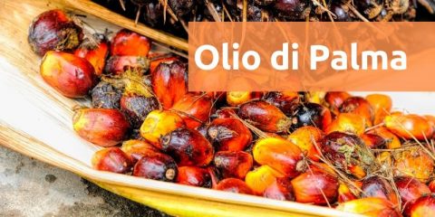 ⁣⁣⁣PERCHÉ L’OLIO DI PALMA PIACE ALL’INDUSTRIA?