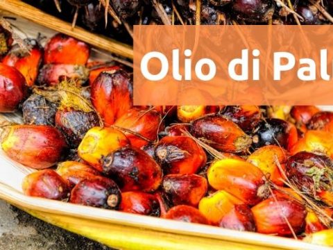 ⁣⁣⁣PERCHÉ L’OLIO DI PALMA PIACE ALL’INDUSTRIA?