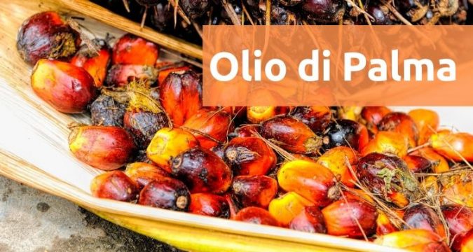 ⁣⁣⁣PERCHÉ L’OLIO DI PALMA PIACE ALL’INDUSTRIA?