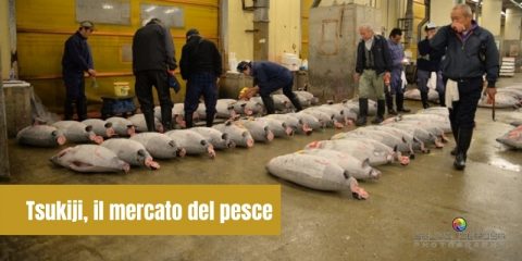 Tsukiji, il mercato del pesce più grande del mondo