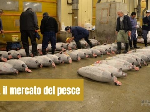 Tsukiji, il mercato del pesce più grande del mondo