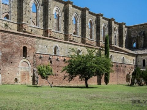 L’Abbazia di San Galgano