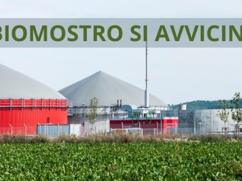 Svegliamoci il BIOMOSTRO SI AVVICINA!!!- Continua la protesta a Gricignano