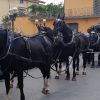 Carrozza con tiro a sei cavalli bardati a lutto, funerali d’altri tempi