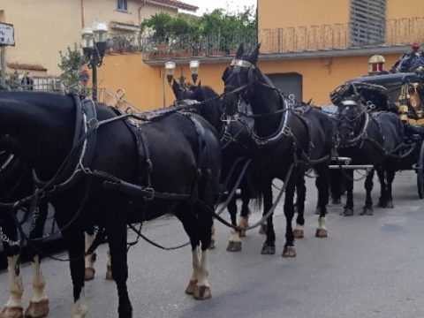 Carrozza con tiro a sei cavalli bardati a lutto, funerali d’altri tempi