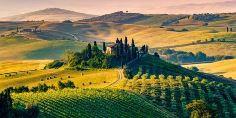 Crete Senesi: cosa sono e perché visitarle