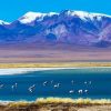 Il deserto di Atacama in Cile, dove non piove quasi mai