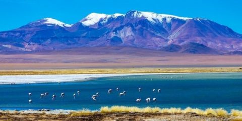 Il deserto di Atacama in Cile, dove non piove quasi mai