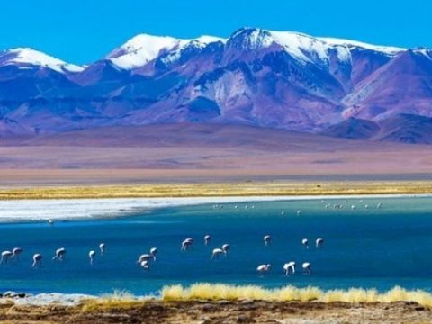 Il deserto di Atacama in Cile, dove non piove quasi mai