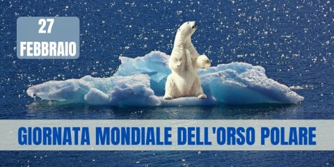 27 febbraio, Giornata mondiale dell'orso polare