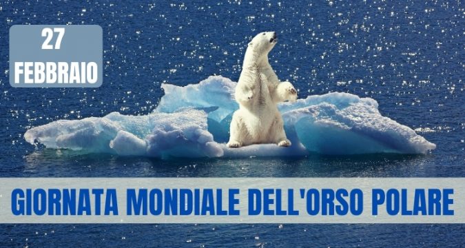 27 febbraio, Giornata mondiale dell'orso polare