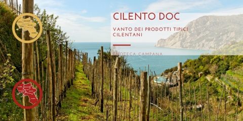 Cilento DOC, un vanto dei prodotti tipici cilentani