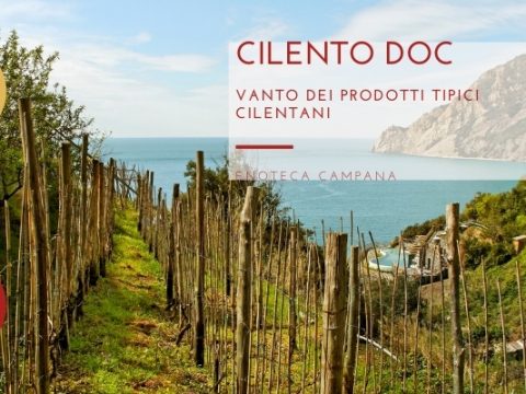 Cilento DOC, un vanto dei prodotti tipici cilentani