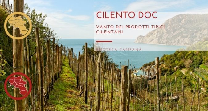 Cilento DOC, un vanto dei prodotti tipici cilentani