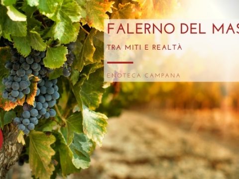 Falerno del Massico, vini tra miti e realtà