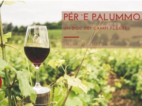 Vino Pér `e Palummo dei Campi Flegrei, sinonimo del Piedirosso