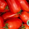 Il Pomodoro San Marzano dop, l'oro rosso della Campania