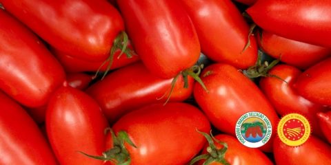 Il Pomodoro San Marzano dop, l'oro rosso della Campania