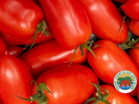 Il Pomodoro San Marzano dop, l'oro rosso della Campania