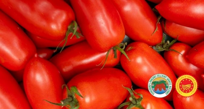 Il Pomodoro San Marzano dop, l'oro rosso della Campania