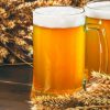 Birra - le origini e la sua evoluzione