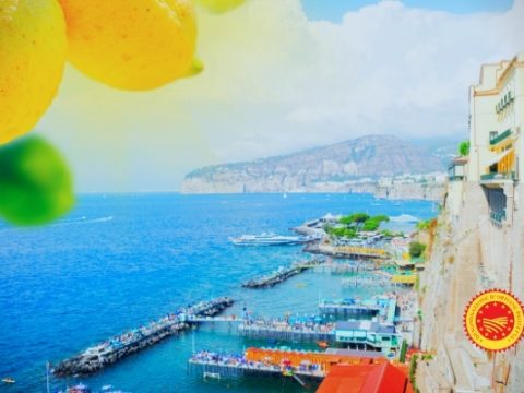 Limone di Sorrento IGP, vero simbolo di Sorrento e di tutta la costiera