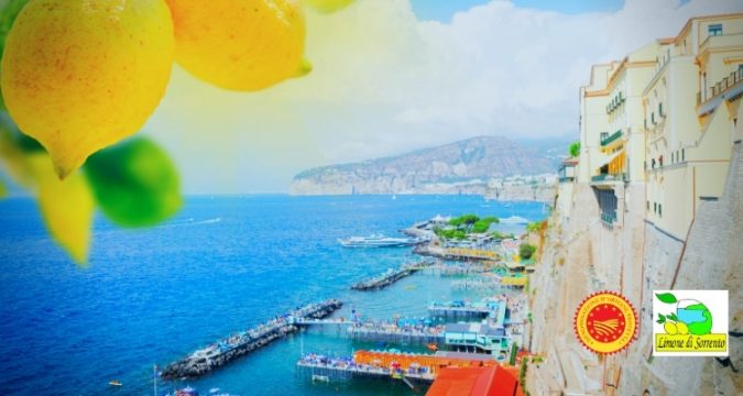 Limone di Sorrento IGP, vero simbolo di Sorrento e di tutta la costiera