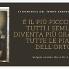 Vangelo e Meditazione della XI Domenica del Tempo Ordinario Anno B