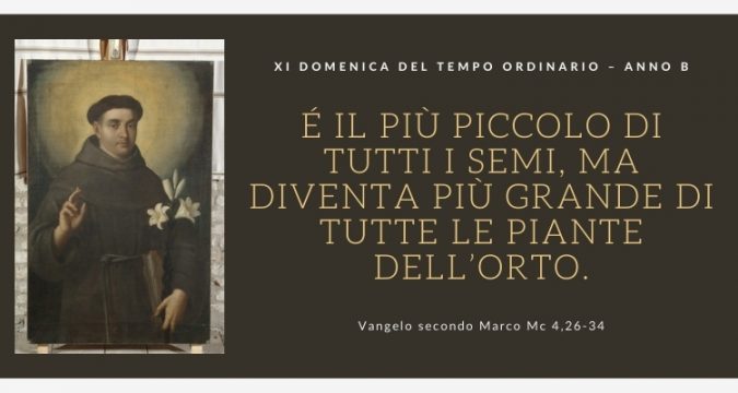 Vangelo e Meditazione della XI Domenica del Tempo Ordinario Anno B