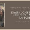 Vangelo e Meditazione della XVI Domenica del Tempo Ordinario Anno B