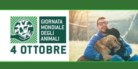 Oggi 4 ottobre, Giornata mondiale degli animali