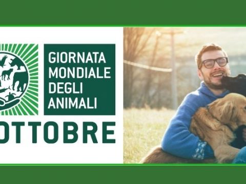 Oggi 4 ottobre, Giornata mondiale degli animali