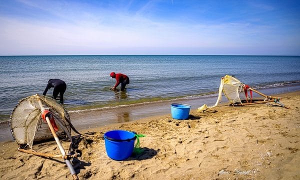 I pescatori di telline