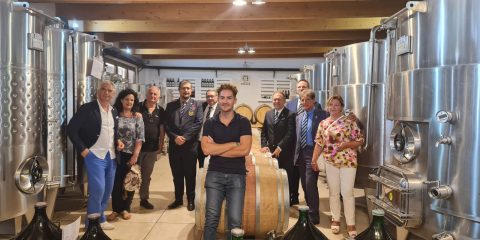 Visita Azienda Vitis Aurunca dall’Amira Napoli Campania