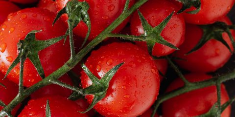 Il pomodoro cannellino flegreo: una specialità campana