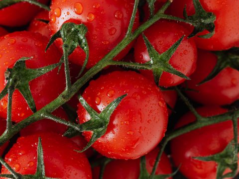 Il pomodoro cannellino flegreo: una specialità campana