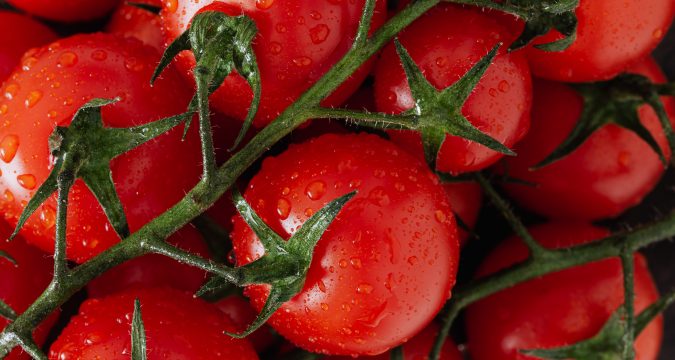 Il pomodoro cannellino flegreo: una specialità campana