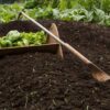 Tecniche di compostaggio e cicli chiusi per sostenere un’agricoltura rigenerativa
