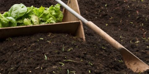 Tecniche di compostaggio e cicli chiusi per sostenere un’agricoltura rigenerativa