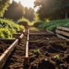 Compostaggio come pratica di arricchimento naturale del suolo in un sistema rigenerativo