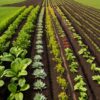 Orto urbano sostenibile con ortaggi freschi per promuovere la sicurezza alimentare locale