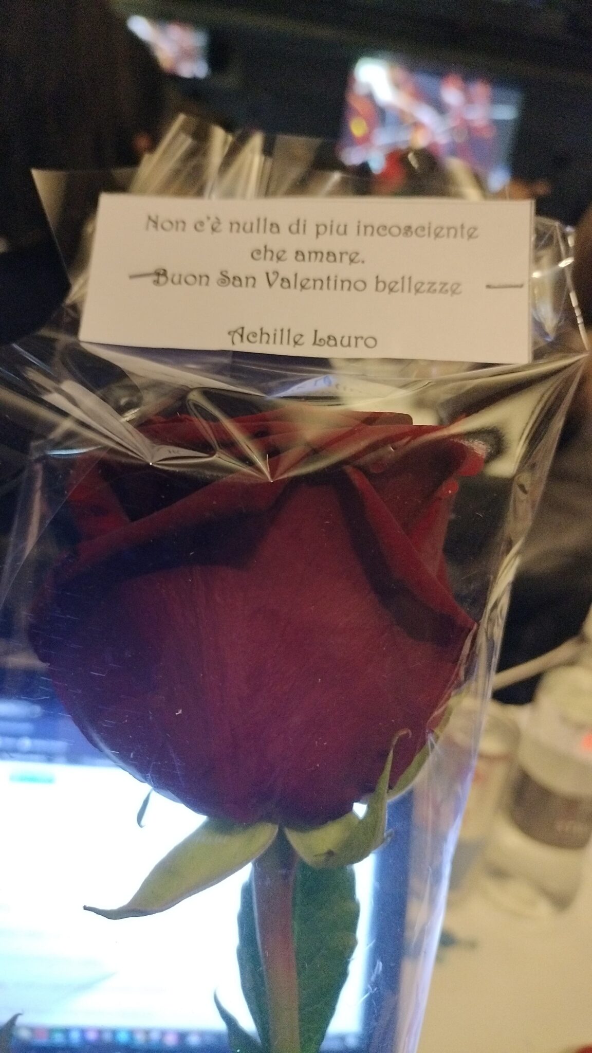 Le rose offerte da Achille Lauro