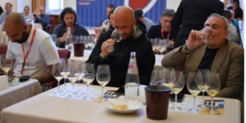 VitignoItalia 2025: Il salone dei Vini Italiani torna a Napoli con un respiro sempre più internazionale