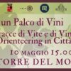 Un Palco di Vini: Orienteering tra Storia e Calici a Orvieto il 10 Maggio 2025