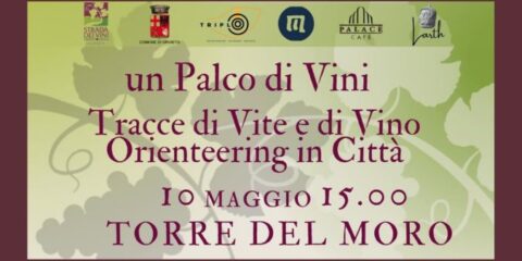 Un Palco di Vini: Orienteering tra Storia e Calici a Orvieto il 10 Maggio 2025